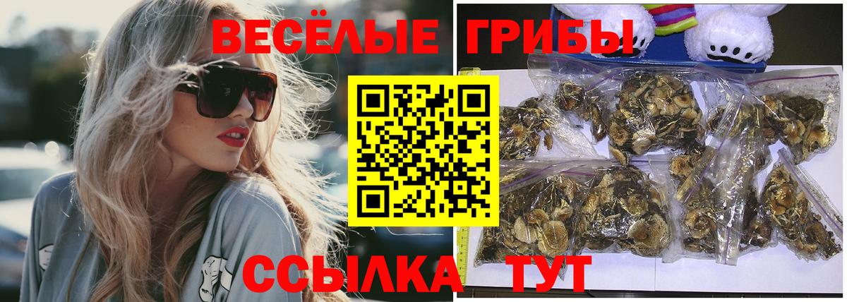 Саратов  Псилоцибиновые грибы мухоморы  Вход с VPN 